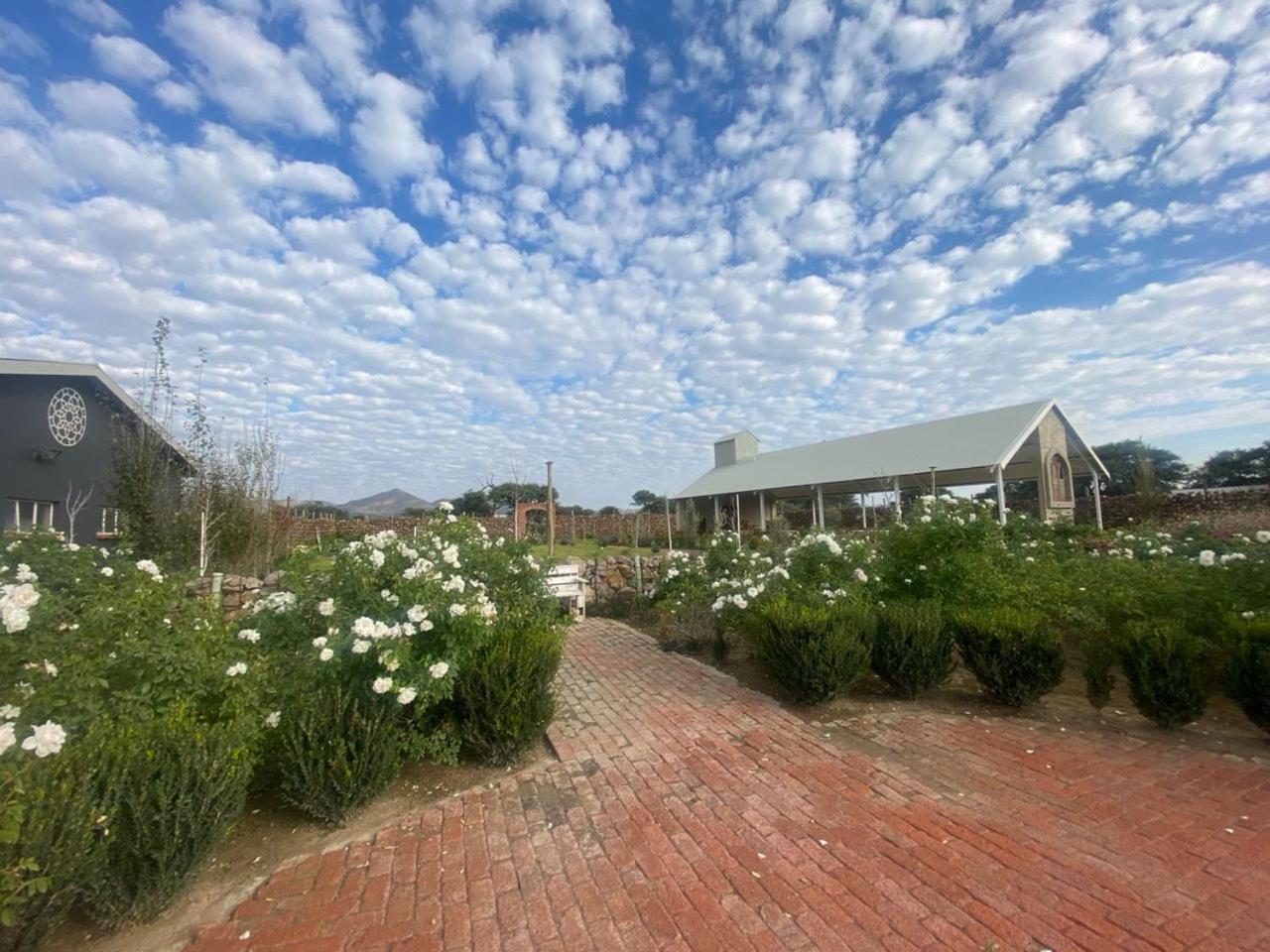 Out Of Nature Country Lodge วินด์ฮุก ภายนอก รูปภาพ