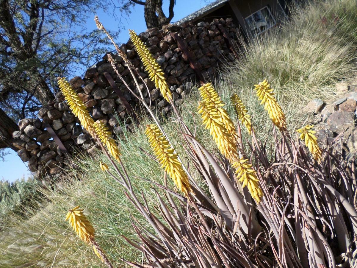 Out Of Nature Country Lodge วินด์ฮุก ภายนอก รูปภาพ